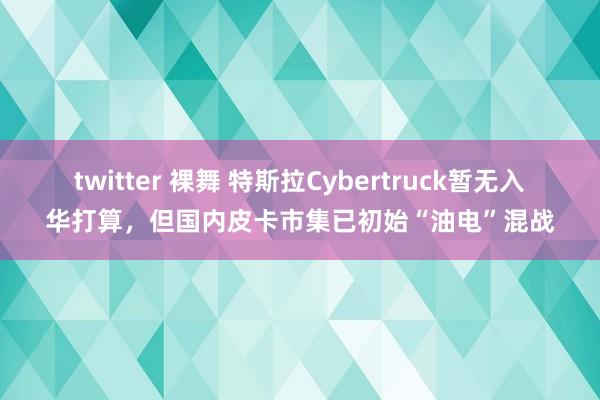 twitter 裸舞 特斯拉Cybertruck暂无入华打算，但国内皮卡市集已初始“油电”混战