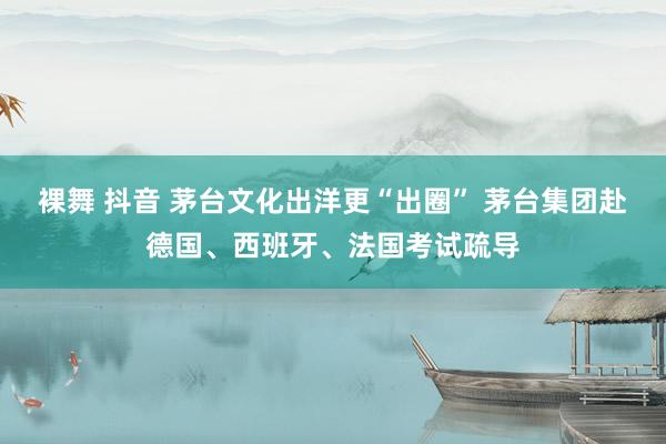 裸舞 抖音 茅台文化出洋更“出圈” 茅台集团赴德国、西班牙、法国考试疏导