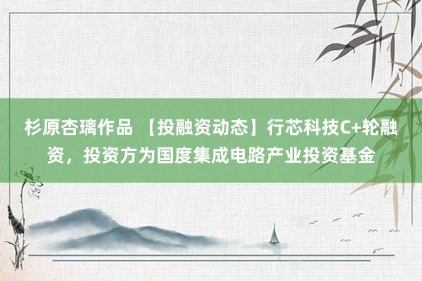 杉原杏璃作品 【投融资动态】行芯科技C+轮融资，投资方为国度集成电路产业投资基金