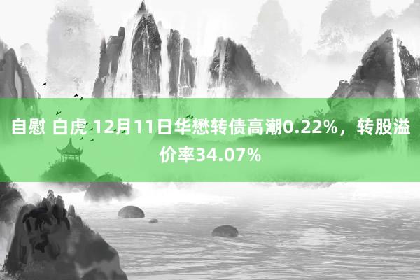 自慰 白虎 12月11日华懋转债高潮0.22%，转股溢价率34.07%