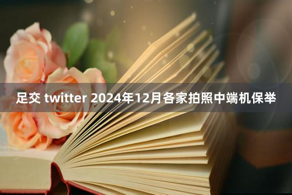 足交 twitter 2024年12月各家拍照中端机保举