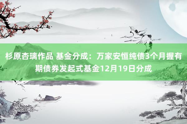 杉原杏璃作品 基金分成：万家安恒纯债3个月握有期债券发起式基金12月19日分成