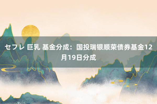 セフレ 巨乳 基金分成：国投瑞银顺荣债券基金12月19日分成