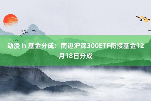 动漫 h 基金分成：南边沪深300ETF衔接基金12月18日分成