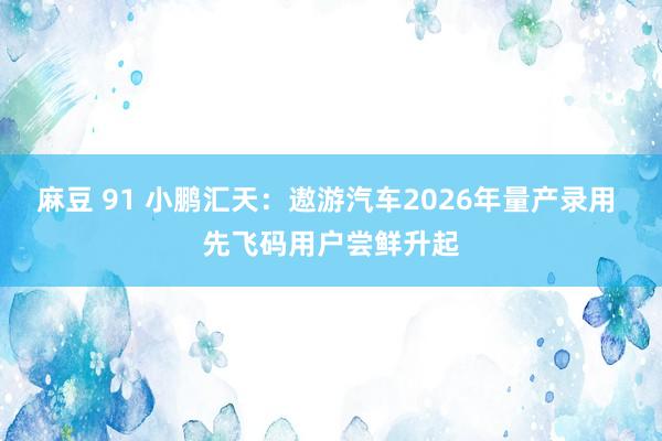 麻豆 91 小鹏汇天：遨游汽车2026年量产录用 先飞码用户尝鲜升起