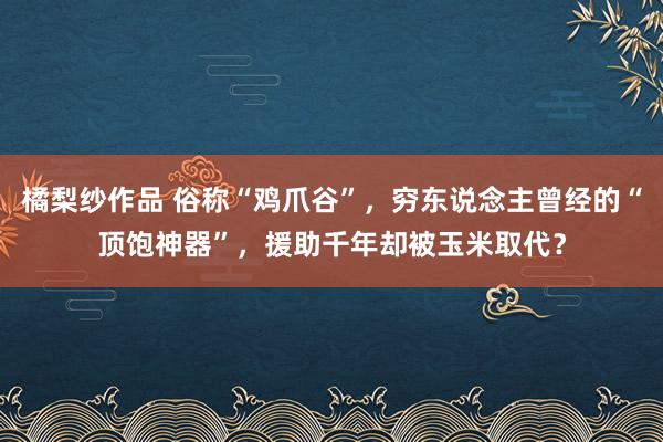 橘梨纱作品 俗称“鸡爪谷”，穷东说念主曾经的“顶饱神器”，援助千年却被玉米取代？