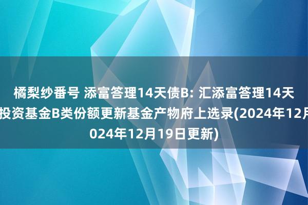 橘梨纱番号 添富答理14天债B: 汇添富答理14天债券型证券投资基金B类份额更新基金产物府上选录(2024年12月19日更新)