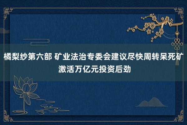 橘梨纱第六部 矿业法治专委会建议尽快周转呆死矿 激活万亿元投资后劲