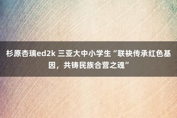 杉原杏璃ed2k 三亚大中小学生“联袂传承红色基因，共铸民族合营之魂”