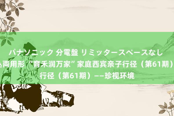 パナソニック 分電盤 リミッタースペースなし 露出・半埋込両用形 “育禾润万家”家庭西宾亲子行径（第61期）——珍视环境