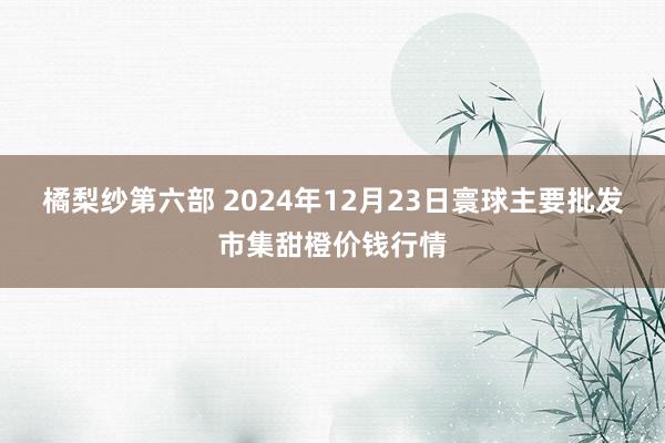 橘梨纱第六部 2024年12月23日寰球主要批发市集甜橙价钱行情