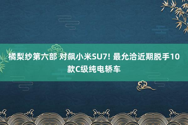 橘梨纱第六部 对飙小米SU7! 最允洽近期脱手10款C级纯电轿车