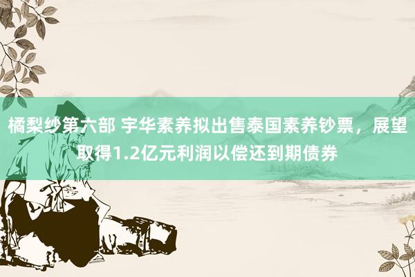 橘梨纱第六部 宇华素养拟出售泰国素养钞票，展望取得1.2亿元利润以偿还到期债券