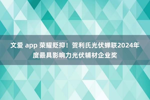 文爱 app 荣耀贬抑！贺利氏光伏蝉联2024年度最具影响力光伏辅材企业奖