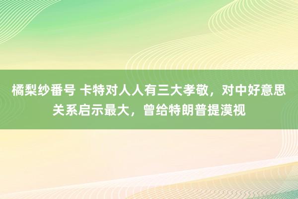 橘梨纱番号 卡特对人人有三大孝敬，对中好意思关系启示最大，曾给特朗普提漠视