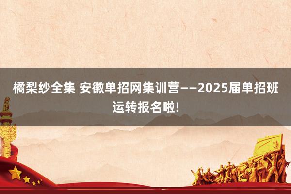 橘梨纱全集 安徽单招网集训营——2025届单招班运转报名啦!