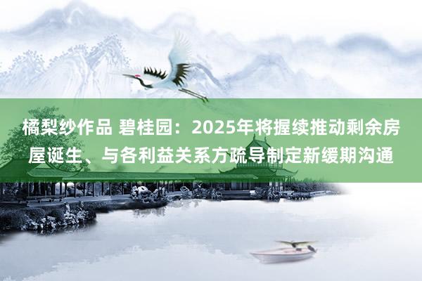 橘梨纱作品 碧桂园：2025年将握续推动剩余房屋诞生、与各利益关系方疏导制定新缓期沟通