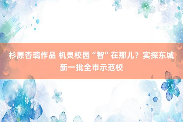 杉原杏璃作品 机灵校园“智”在那儿？实探东城新一批全市示范校