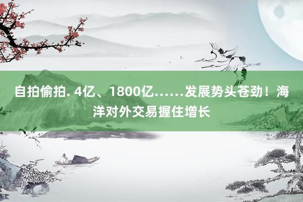 自拍偷拍. 4亿、1800亿……发展势头苍劲！海洋对外交易握住增长