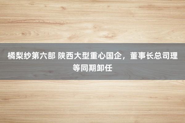 橘梨纱第六部 陕西大型重心国企，董事长总司理等同期卸任