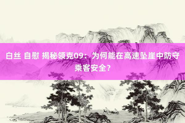 白丝 自慰 揭秘领克09：为何能在高速坠崖中防守乘客安全？