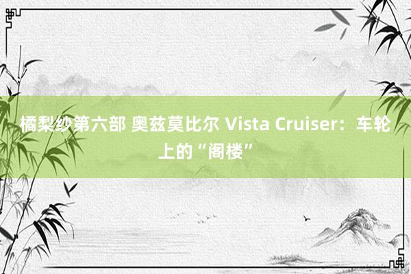 橘梨纱第六部 奥兹莫比尔 Vista Cruiser：车轮上的“阁楼”