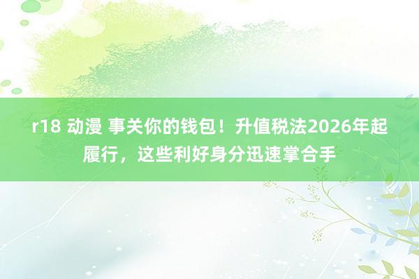 r18 动漫 事关你的钱包！升值税法2026年起履行，这些利好身分迅速掌合手