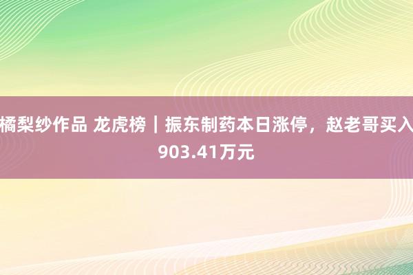 橘梨纱作品 龙虎榜｜振东制药本日涨停，赵老哥买入903.41万元