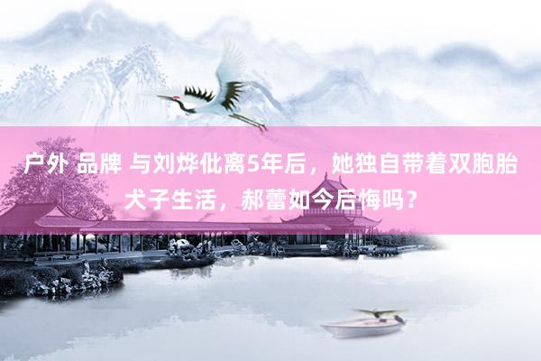 户外 品牌 与刘烨仳离5年后，她独自带着双胞胎犬子生活，郝蕾如今后悔吗？