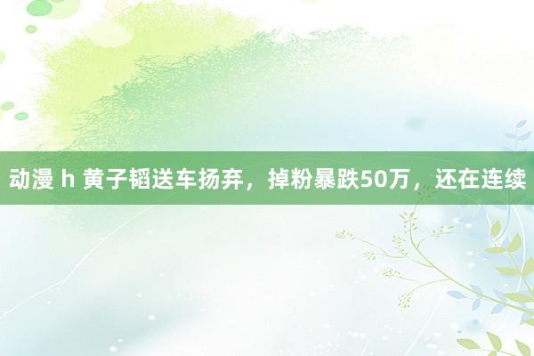 动漫 h 黄子韬送车扬弃，掉粉暴跌50万，还在连续