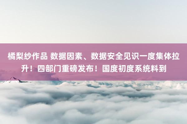 橘梨纱作品 数据因素、数据安全见识一度集体拉升！四部门重磅发布！国度初度系统料到