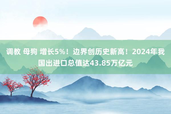 调教 母狗 增长5%！边界创历史新高！2024年我国出进口总值达43.85万亿元