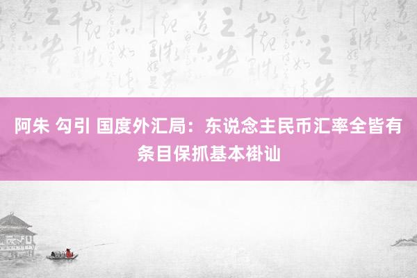 阿朱 勾引 国度外汇局：东说念主民币汇率全皆有条目保抓基本褂讪