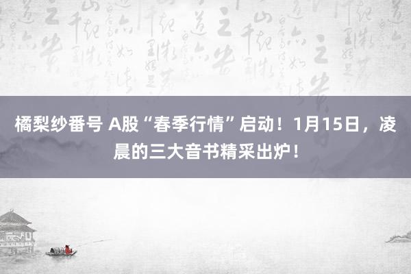 橘梨纱番号 A股“春季行情”启动！1月15日，凌晨的三大音书精采出炉！