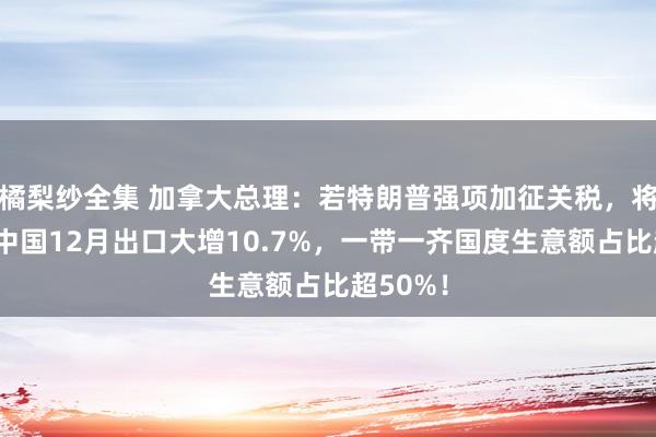 橘梨纱全集 加拿大总理：若特朗普强项加征关税，将反击！中国12月出口大增10.7%，一带一齐国度生意额占比超50%！